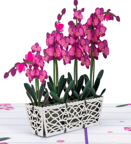 Orchids Pop Up Card